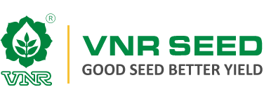VNR Seeds