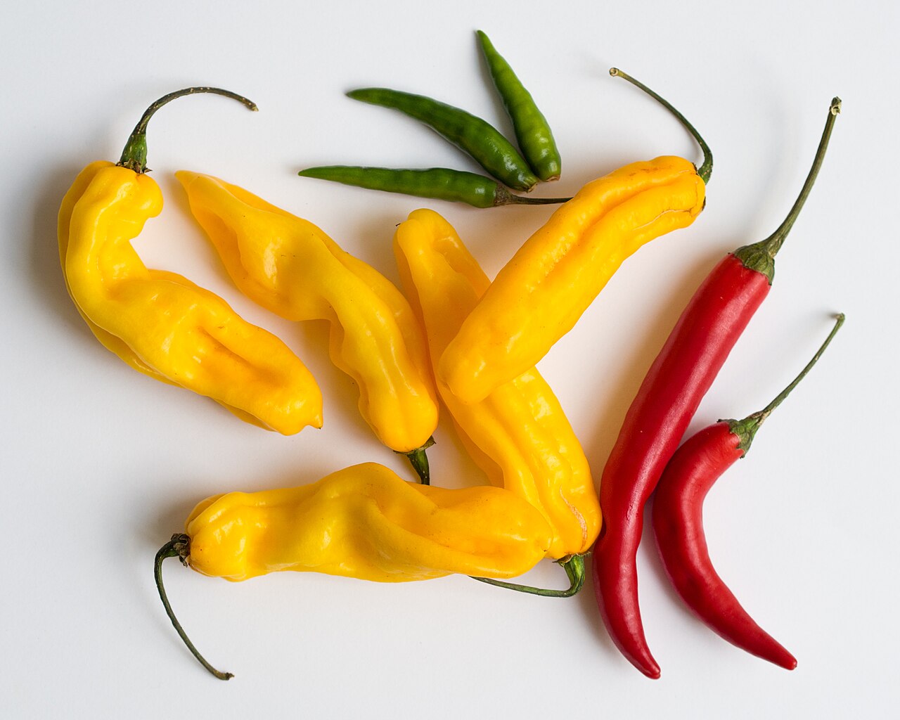 Chilli